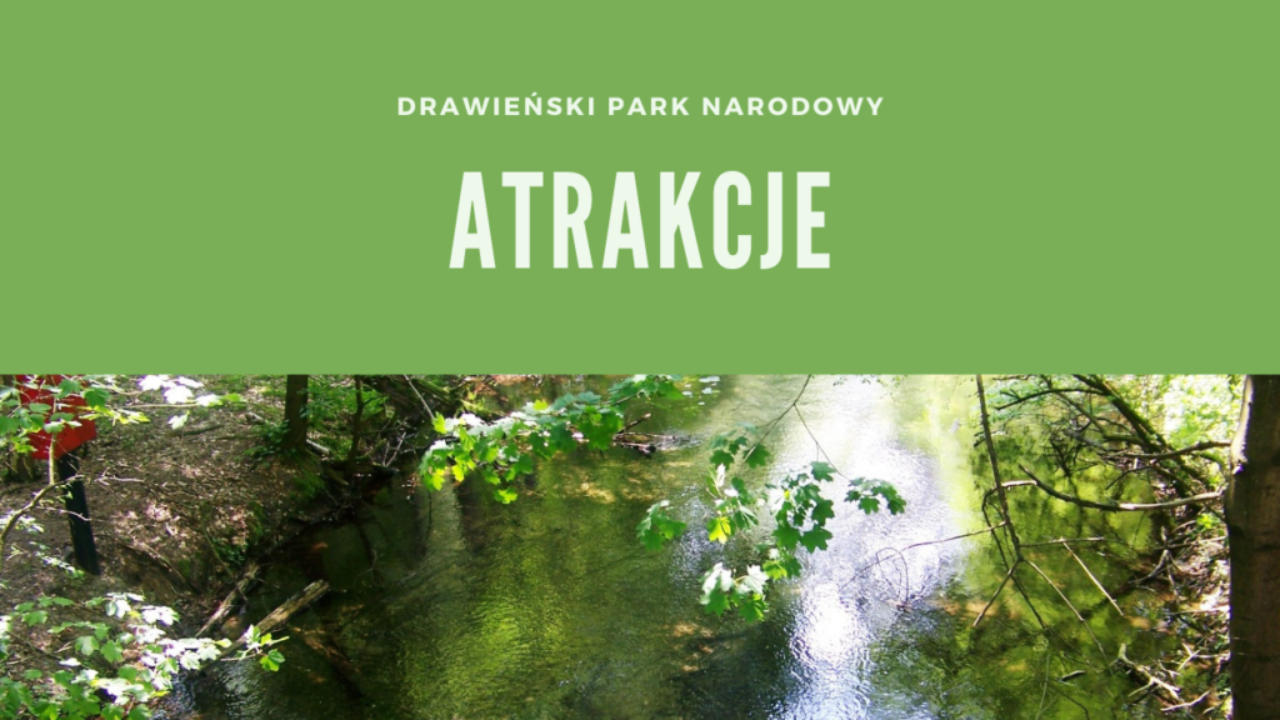 Drawieński Park Narodowy Atrakcje