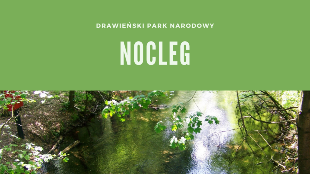 Drawieński Park Narodowy Nocleg